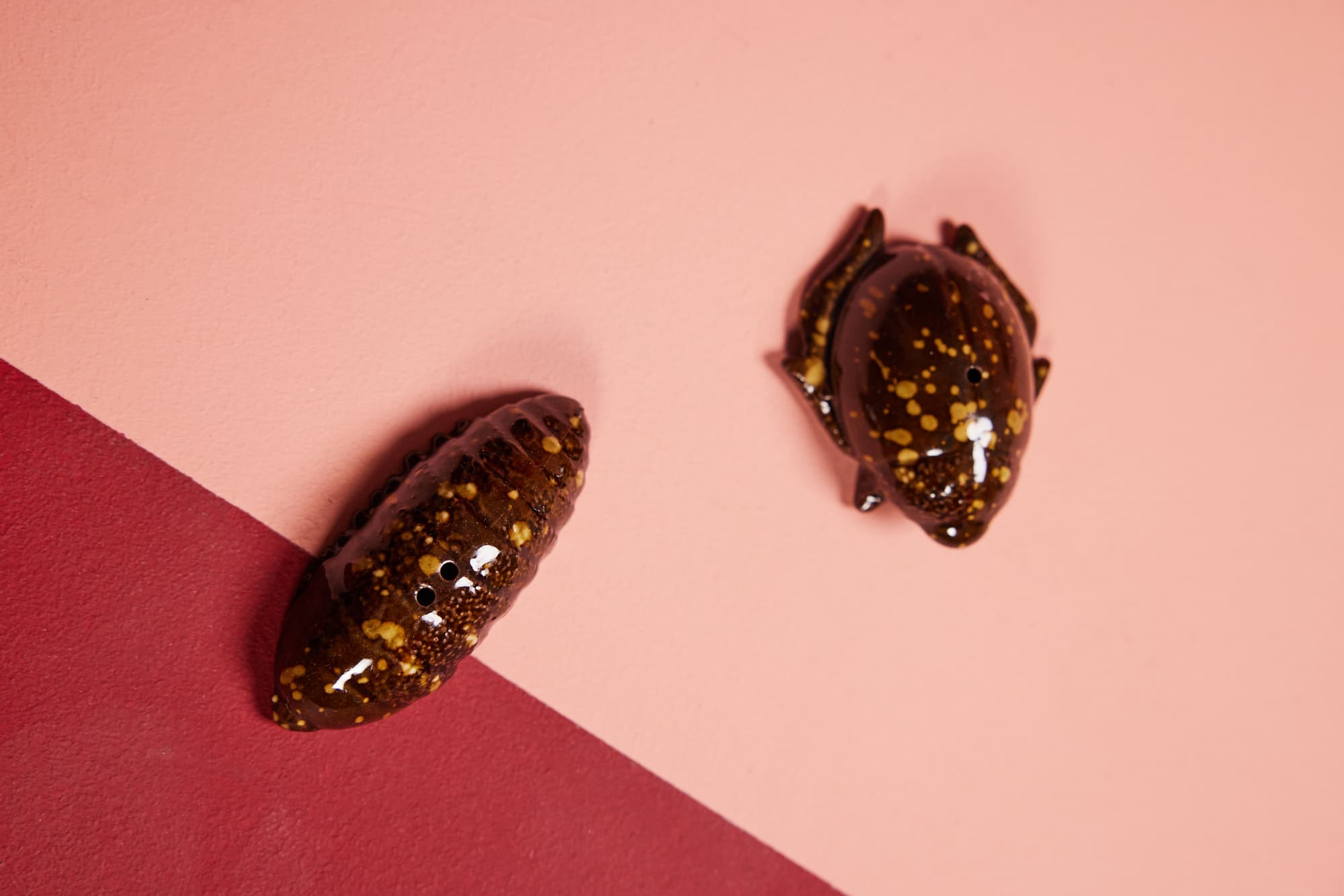Salt & pepper Bug