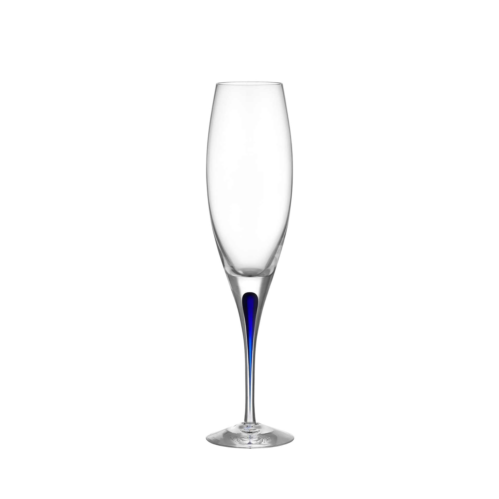 Intermezzo Blå Champ 26 Cl